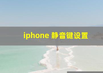 iphone 静音键设置